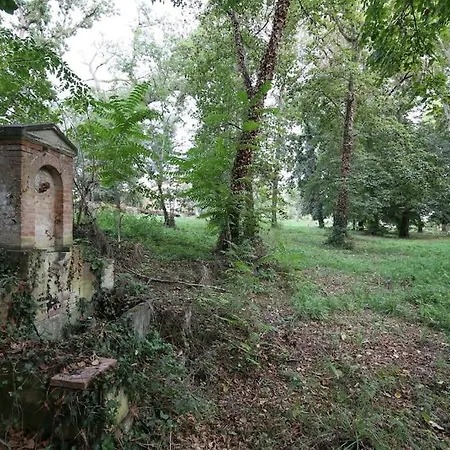 Apartamento Chateau De Fontanas, Les Lauriers Grisolles (Tarn-et-Garonne)